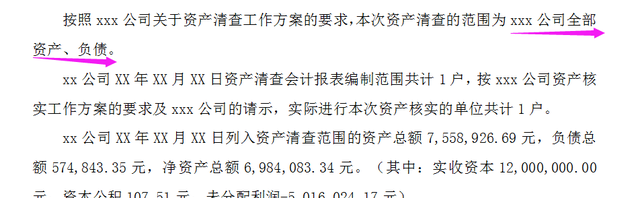 清算报告分资产清算和税务清算,清算资产有关报告都需要提供什么图3