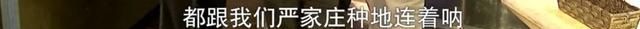 为什么说拜登赢了大选,输了美国制造业呢图16