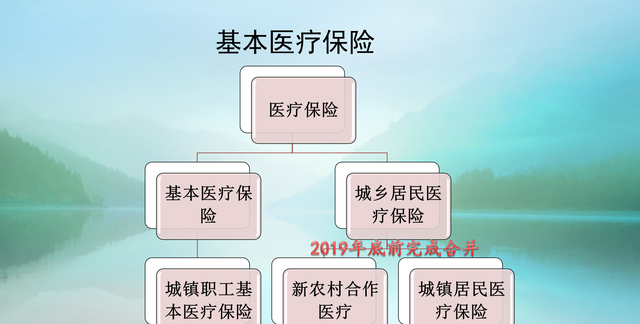 买商业保险好还是买社保保险好些图1