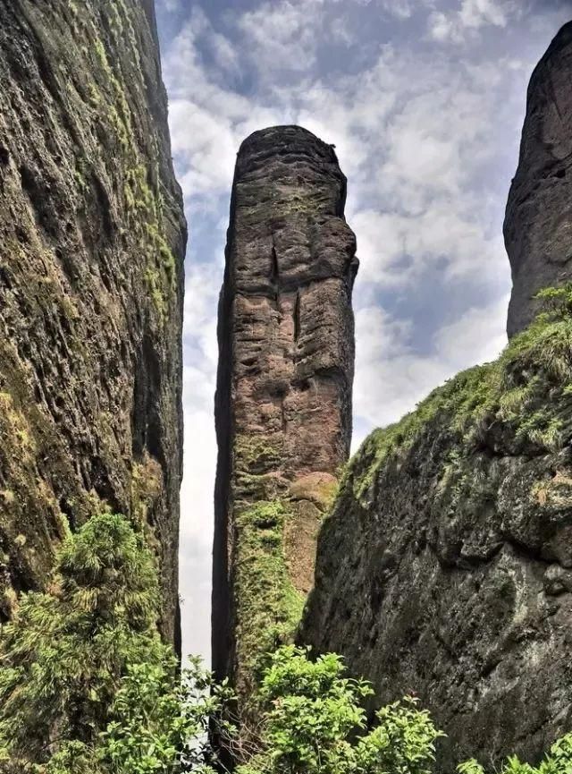 天目山和黄山哪个高图68