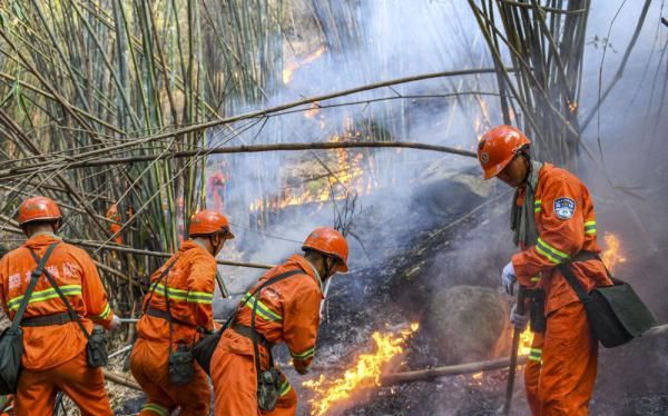 重庆多地突发山火 武警官兵紧急驰援图1