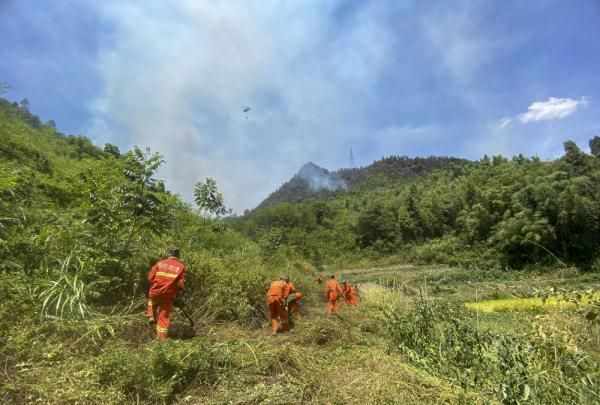 重庆多地突发山火 武警官兵紧急驰援图4