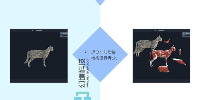 动物解剖虚拟仿真教学系统的搭建图5