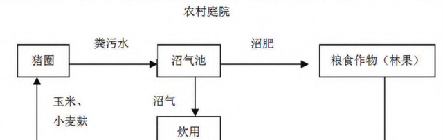 最适合养猪模式就是种养结合图7