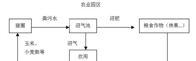 最适合养猪模式就是种养结合图8