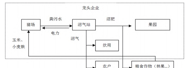 最适合养猪模式就是种养结合图9