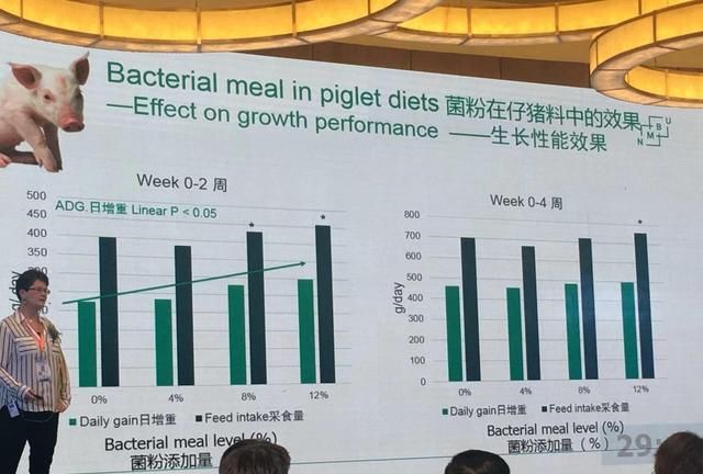 什么比豆粕更好蛋白更高(高蛋白豆粕和低蛋白豆粕的区别)图3