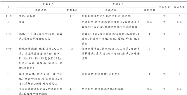 香榧皇菊复合经营技术及效益评价图6