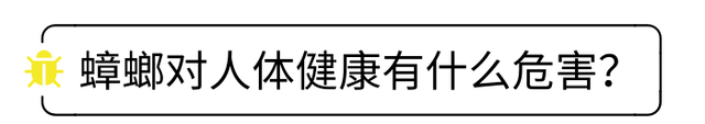 除蟑螂有效的方法,一招教你告别蟑螂图3