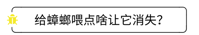 除蟑螂有效的方法,一招教你告别蟑螂图5