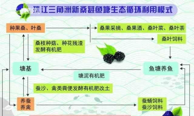 桑基鱼塘是什么独有的农业经济形式图7