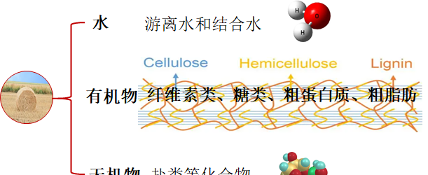 农作物秸秆饲料化的技术原理,一种秸秆资源化综合利用的新方法图2