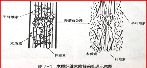 农作物秸秆饲料化的技术原理,一种秸秆资源化综合利用的新方法图6