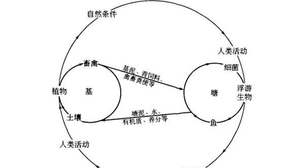 简述保护桑基鱼塘农业区可持续发展的措施图6