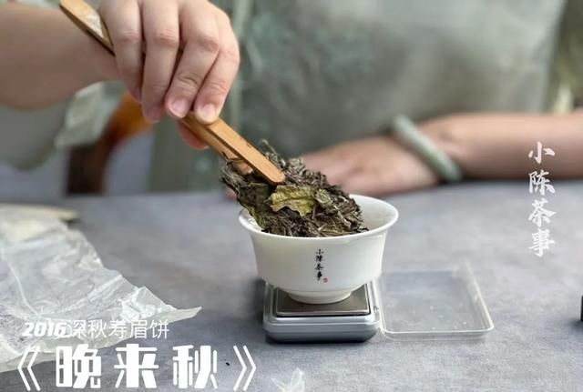 白茶绿茶红茶过期吗图8