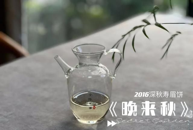 白茶绿茶红茶过期吗图10