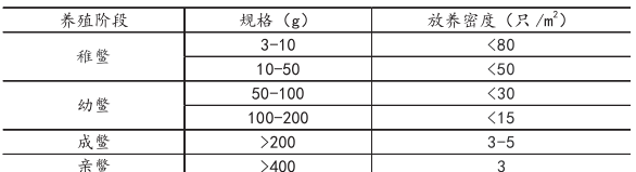 中华鳖池塘养殖关键技术,中华鳖池塘养殖技术规范图3