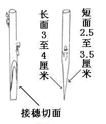 嫁接培育果树苗木的技术或方法,嫁接苗木有几种方法图3