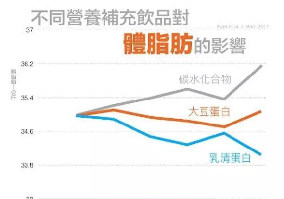 就算没在健身，喝「乳清蛋白」也能帮助减脂？一个实验看惊人真相！图2