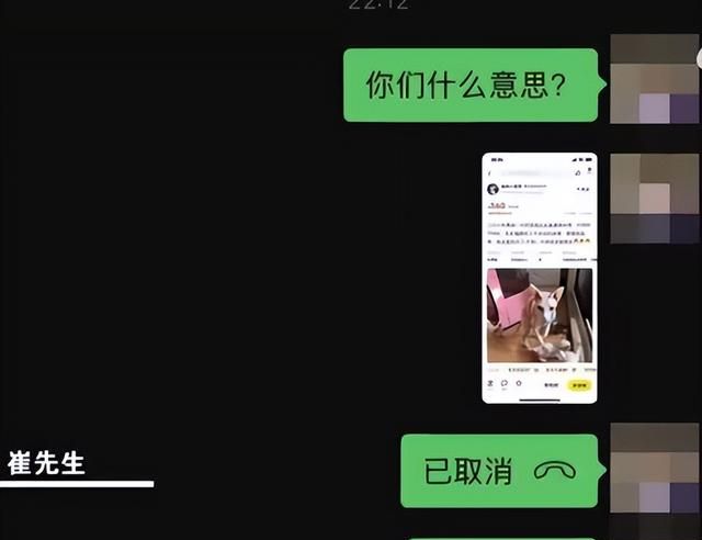 领养小猫后转手挂网上售卖(网上购买无偿领养小猫)图2