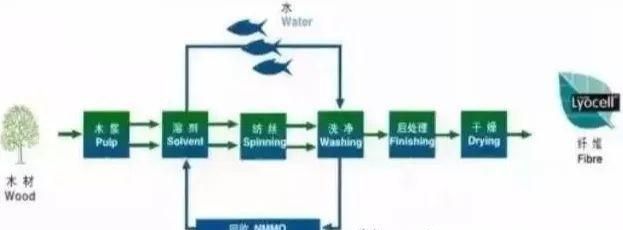 粘胶莫代尔和莱赛尔傻傻分不清楚图8