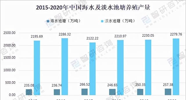 中国池塘养殖的主要模式及优缺点图6