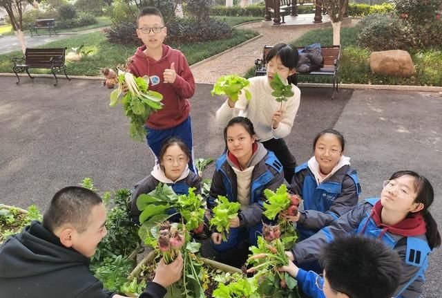 教育部要求！9月起，中小学生要学做饭，长沙老师家长纷纷点赞图1