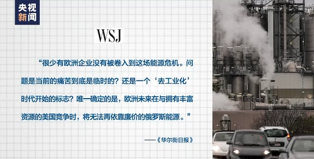 15年来首次，这个国家“西红柿巨头”宣布将停产！德国面包店也顶不住了？这场危机的大赢家是谁？图5