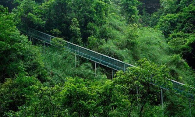 乐山避暑玩水地点推荐,乐山周边避暑耍水烧烤图19