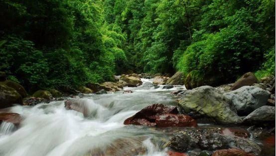 乐山避暑玩水地点推荐,乐山周边避暑耍水烧烤图30