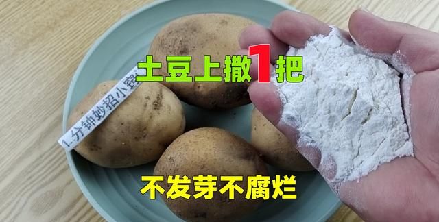 土豆这样保存才正确,存放一年,都不长芽不腐烂图1