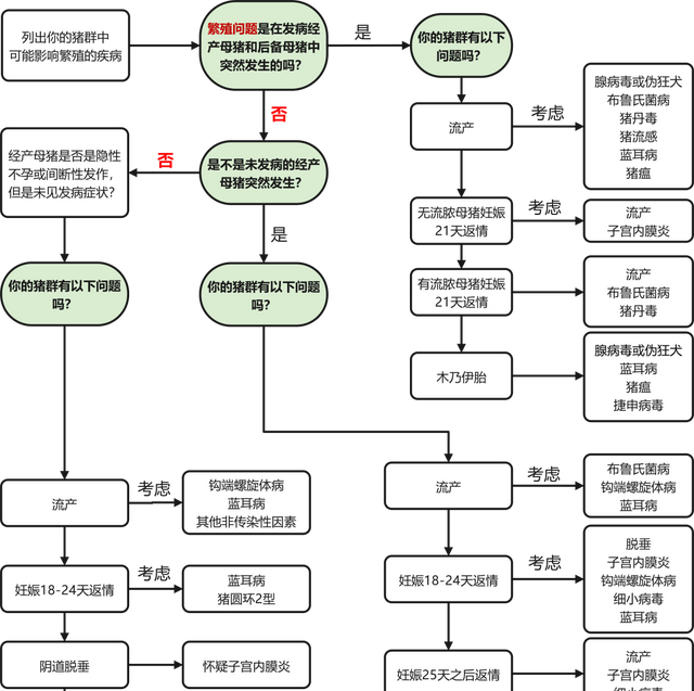 妊娠母猪的饲养管理技术图6