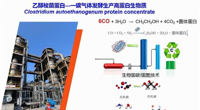 中国科学家变废为宝，2大好消息传来，从人造粮食再到人造蛋白质图4