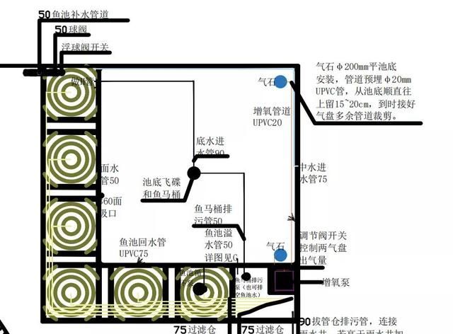 在地下建小鱼池怎么建图11