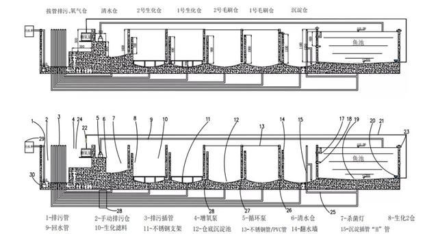 在地下建小鱼池怎么建图13