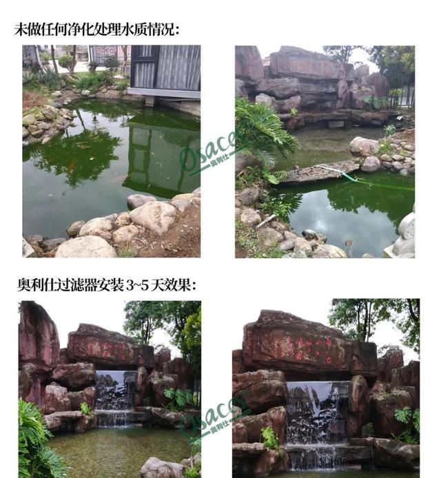 在地下建小鱼池怎么建图24