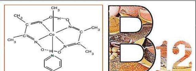 维生素b12是营养神经还是治贫血图2