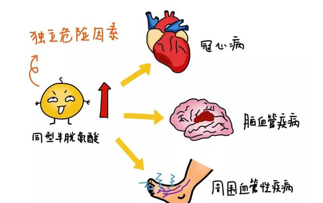 维生素b12是营养神经还是治贫血图7