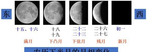 六年级复习资料图21