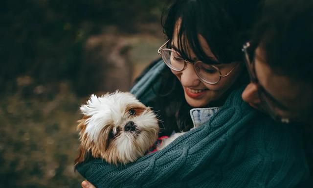 为什么说狗是人类最好的朋友(为什么说狗不是人类最好的朋友)图4