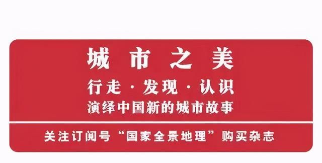 为什么说狗是人类最好的朋友(为什么说狗不是人类最好的朋友)图11