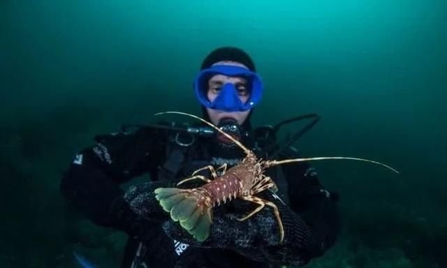 可以吞下比自身大10倍的海洋生物图2