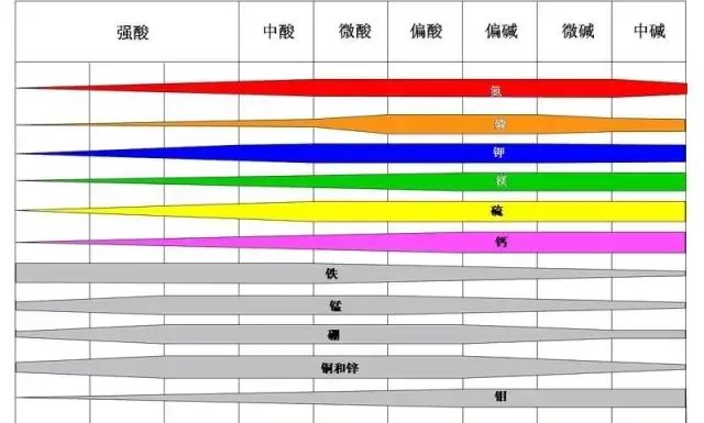 影响作物根系生长的三大要素(影响作物根系健康的三大要素)图4