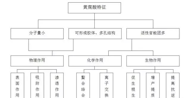 影响作物根系生长的三大要素(影响作物根系健康的三大要素)图11