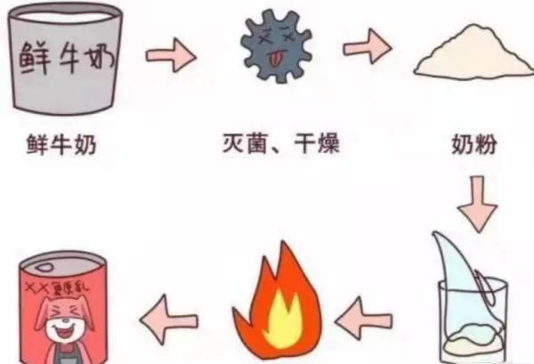 纯牛奶是生牛乳好还是复原乳好图7