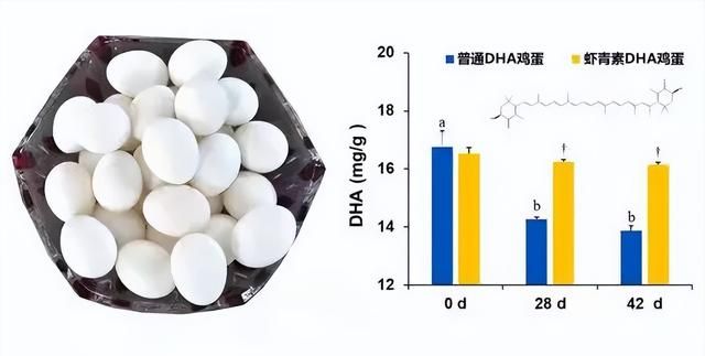 饲料添加剂虾青素图1