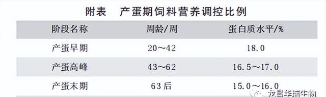 什么时候喂蛋鸡的蛋白质饲料(如何配蛋鸡的产蛋率70%的饲料)图3