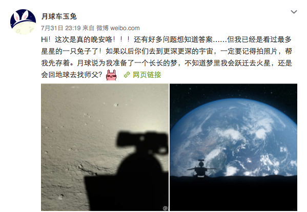 那只看过最多星星的兔子,真的和我们告别了吗图13