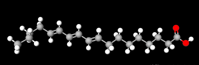概述脂肪酸的结构与性质(脂肪酸的结构分类与功能)图1
