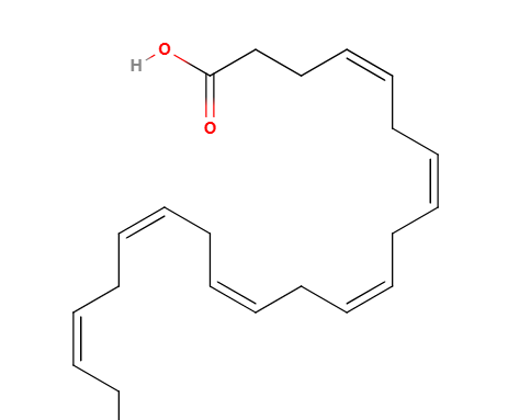 概述脂肪酸的结构与性质(脂肪酸的结构分类与功能)图4